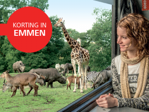 Vechtdallijnen, in de trein ziet U meer.